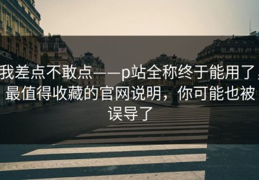 我差点不敢点——p站全称终于能用了，最值得收藏的官网说明，你可能也被误导了