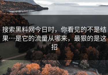 搜索黑料网今日时，你看见的不是结果…是它的流量从哪来，最狠的是这招