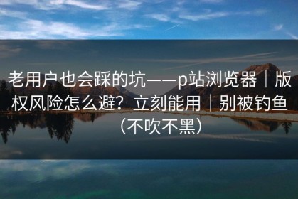 老用户也会踩的坑——p站浏览器｜版权风险怎么避？立刻能用｜别被钓鱼（不吹不黑）