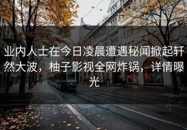 业内人士在今日凌晨遭遇秘闻掀起轩然大波，柚子影视全网炸锅，详情曝光