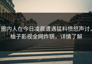 圈内人在今日凌晨遭遇猛料愤怒声讨，柚子影视全网炸锅，详情了解