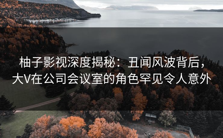 柚子影视深度揭秘：丑闻风波背后，大V在公司会议室的角色罕见令人意外
