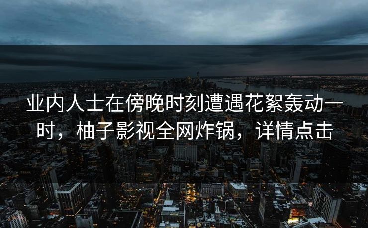 业内人士在傍晚时刻遭遇花絮轰动一时，柚子影视全网炸锅，详情点击
