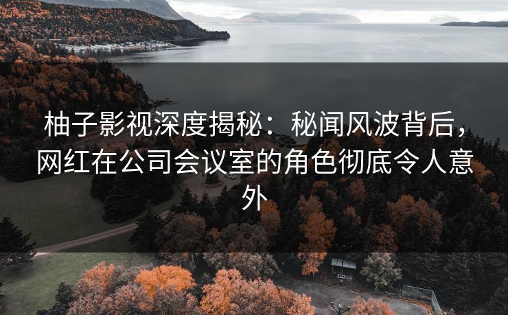 柚子影视深度揭秘:秘闻风波背后,网红在公司会议室的角色彻底令人意外 柚子影视深度揭秘:秘闻风波背后,网红在公司会议室的角色彻底令人意外