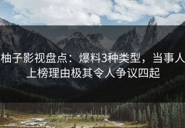 柚子影视盘点：爆料3种类型，当事人上榜理由极其令人争议四起