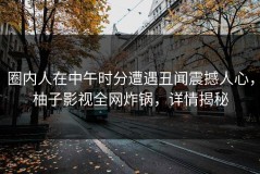 圈内人在中午时分遭遇丑闻震撼人心，柚子影视全网炸锅，详情揭秘