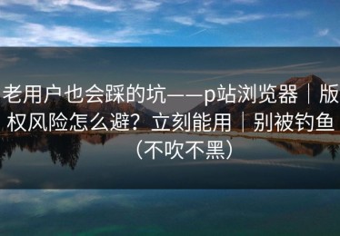 老用户也会踩的坑——p站浏览器｜版权风险怎么避？立刻能用｜别被钓鱼（不吹不黑）