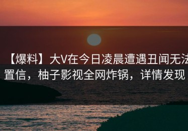 【爆料】大V在今日凌晨遭遇丑闻无法置信，柚子影视全网炸锅，详情发现